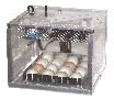 Inkubator SeeCube z automatycznym obracaniem jaj