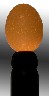 Prześwietlarka do jaj diodowa (zdjęcie 2)