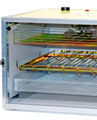 Przykład inkubatora z 1 tacą inkubacyjną i jedną tacą klujnikową