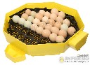 Moduł automatycznego obrotu jaj do inkubatora iBator Home