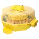 Inkubator automatyczny z klujnikiem iBator Home PROFI z silnikiem do obracania jaj