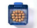 Inkubator do jaj automatyczny  (zdjęcie 4)