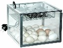 Inkubator klujnik SeeCube 25 w transparentnej obudowie