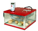 Inkubator iBator MES 36 (zdjęcie 1)