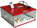 Inkubator iBator 82v42-120 Aut (zdjęcie 1)