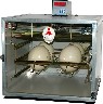 Inkubator dla strusi Sigma 4 AUTO-X